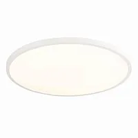 Настенно-потолочный светодиодный светильник ST Luce ST601.532.48 
